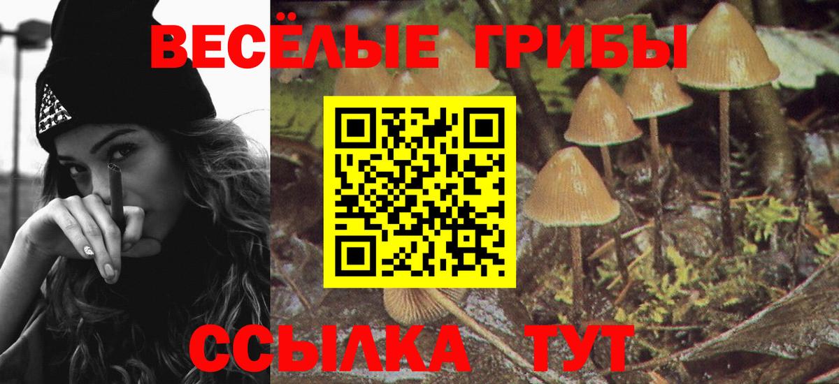 Псилоцибиновые грибы мицелий  Галлюциногенные грибы GOLDEN TEACHER  Химки  Вход с VPN 